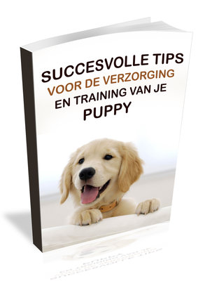 review Succesvolle tips voor de verzorging en training van je puppy