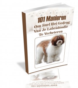 Bonus boekje 5, Labradoodle geheimen. 101 manieren om snel het gedrag van je Labradoodle te verbeteren.