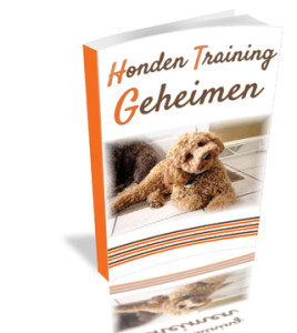 Bonus boekje 3, Labradoodle geheimen. Honden training geheimen.