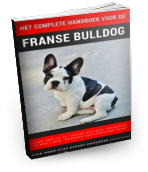 Het complete handboek voor de Franse Bulldog van Piet de Wit.
