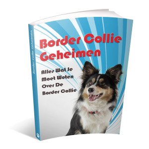 Border Collie geheimen handboek cover