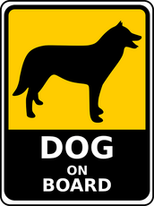 Regels honden in auto